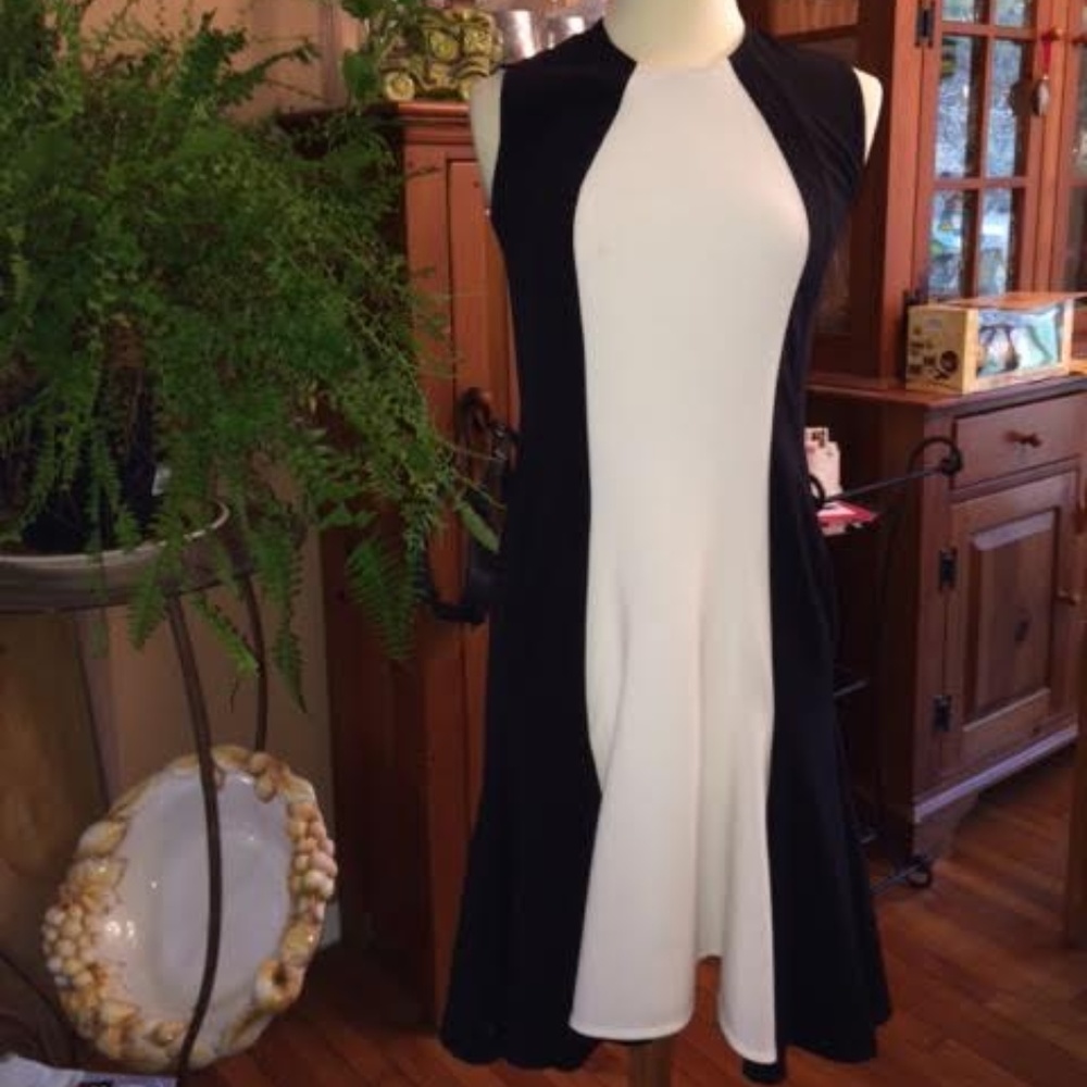 Slimming Black And White Stripe Dress!